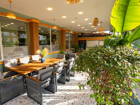 Alanya Otelleri Citrus Plaza Hotel Aloe Vera Yataklar