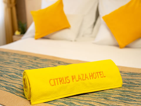Alanya Otelleri Citrus Plaza Hotel Detoksbar